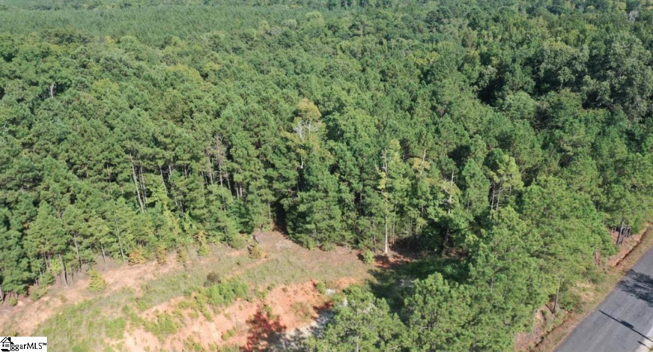 0 Point Lookout Road Cross Hill, SC 29332 - Photo 6 of 7 Gallery Image 6