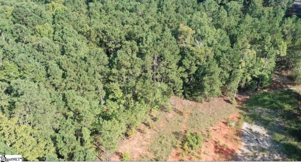 0 Point Lookout Road Cross Hill, SC 29332 - Photo 7 of 7 Gallery Image 7