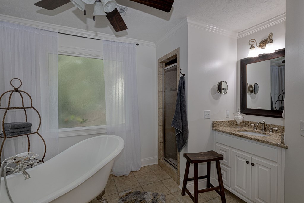 40 Maple Court Midland, GA 31820 - Photo 15 of 38 Separate tub and walk-in shower