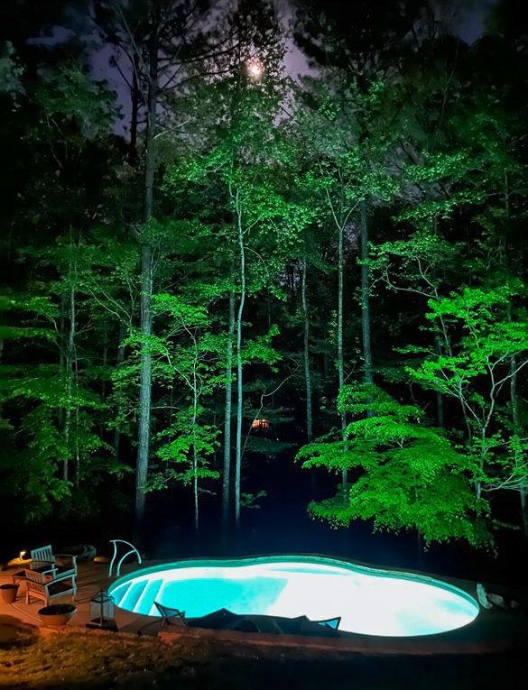 40 Maple Court Midland, GA 31820 - Photo 29 of 38 Lighted saltwater pool & uplighted trees