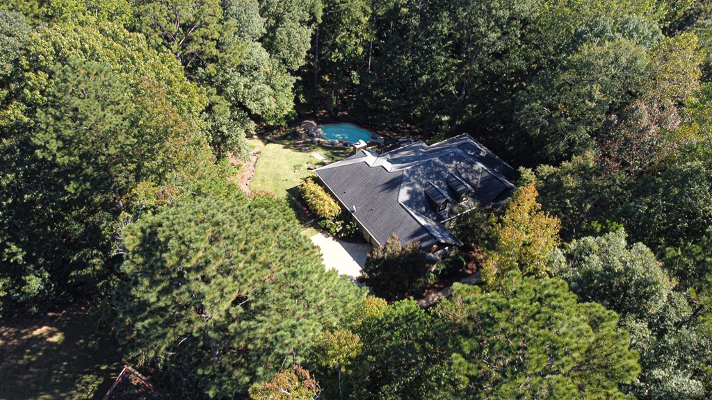 40 Maple Court Midland, GA 31820 - Photo 32 of 38 Aerial view of home w/pool