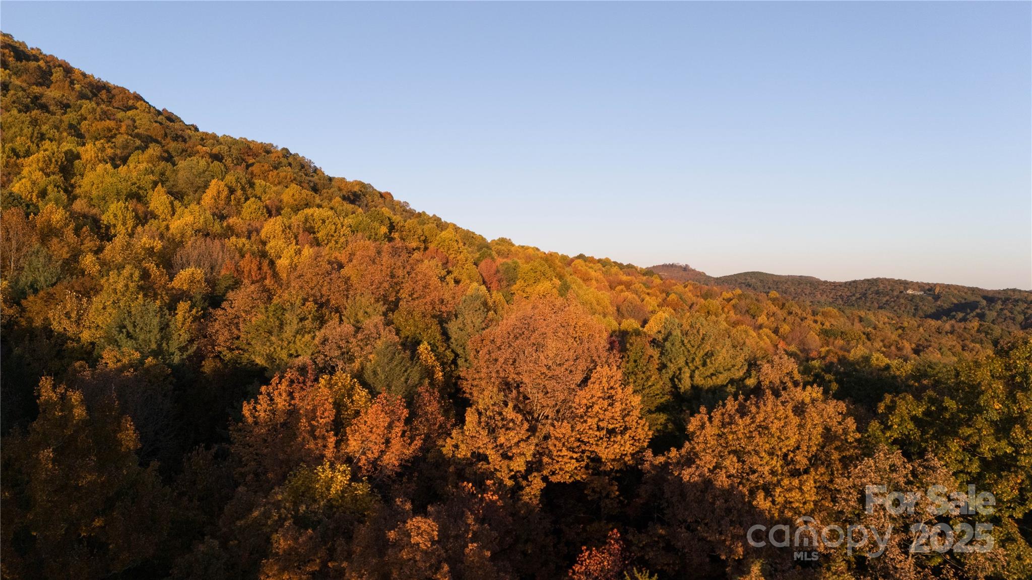Tbd Ward Gap Road Casar, NC 28020 - Photo 14 of 36 a view of mountain
