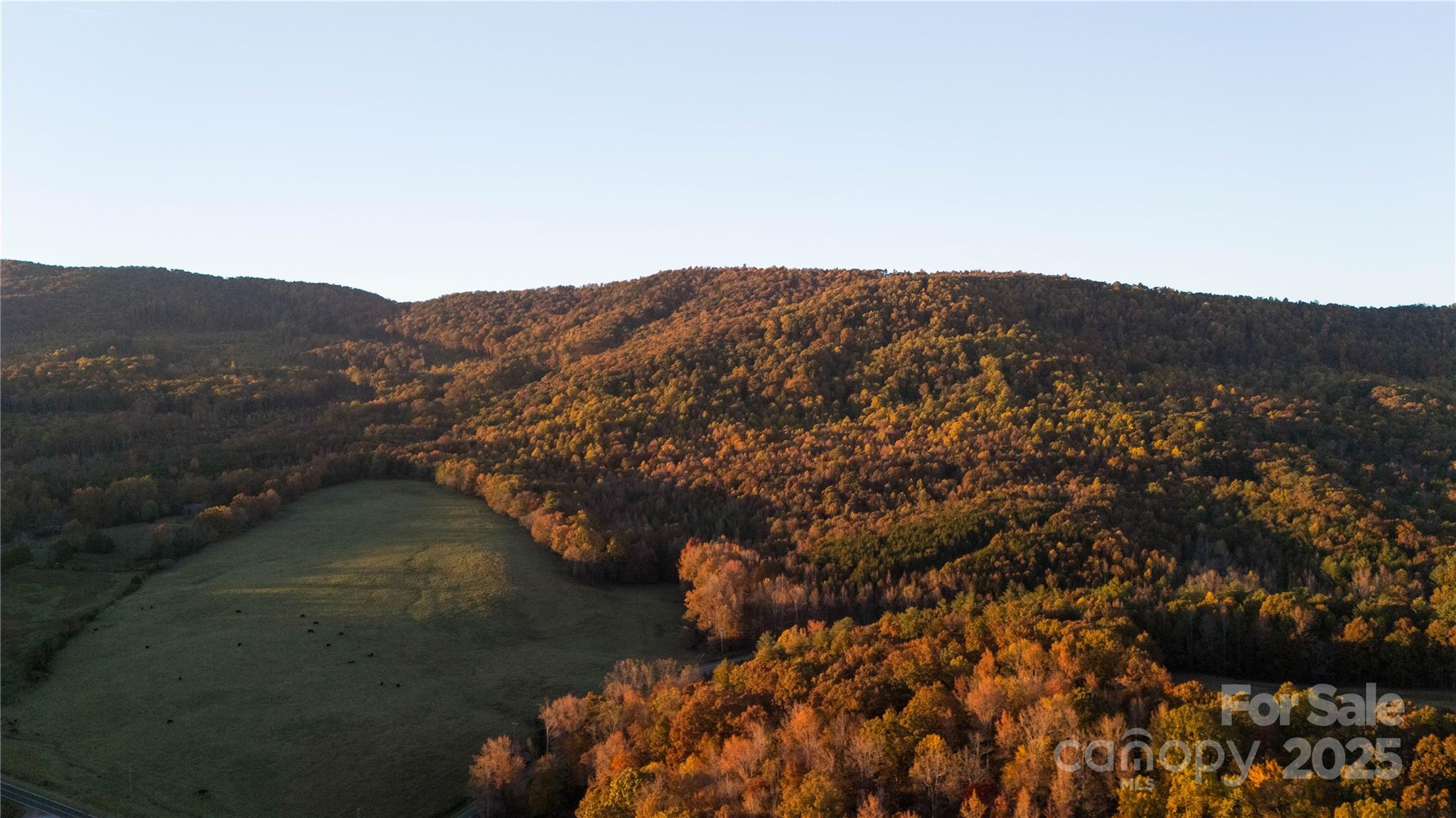 Tbd Ward Gap Road Casar, NC 28020 - Photo 15 of 36 a view of a sky