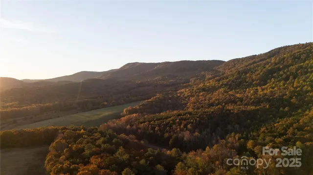 a view of a mountain range with trees