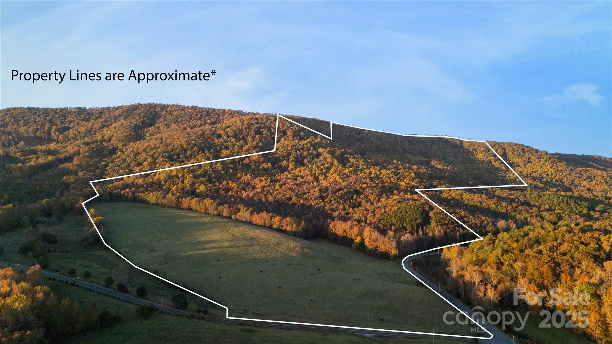 Tbd Ward Gap Road Casar, NC 28020 - Photo 2 of 36 a view of balcony