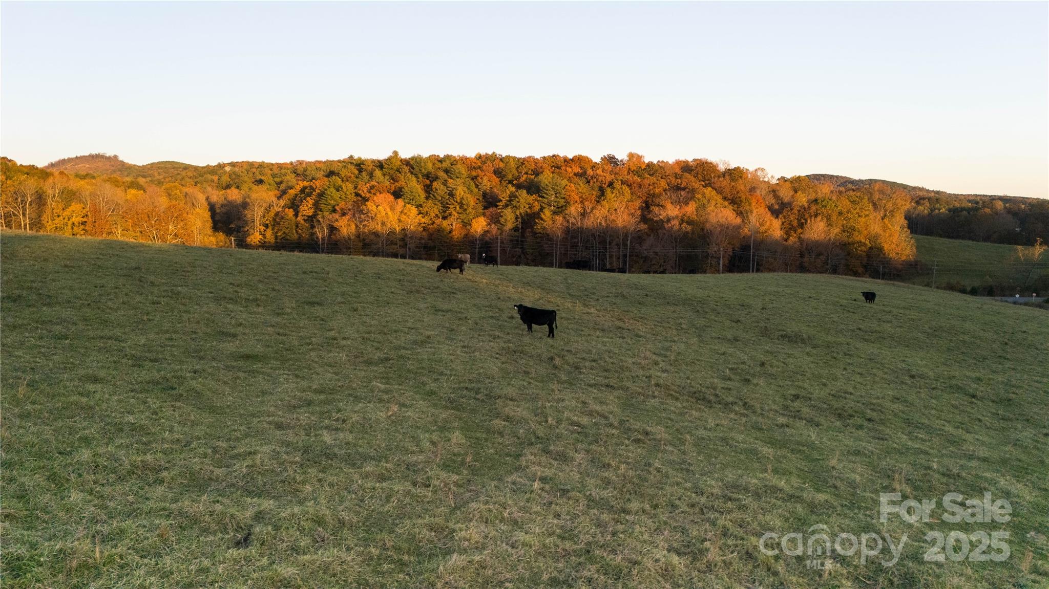 Tbd Ward Gap Road Casar, NC 28020 - Photo 21 of 36 a view of a field
