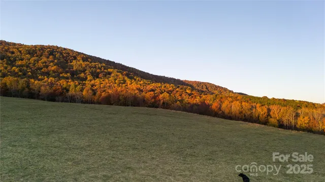 a view of an outdoor space