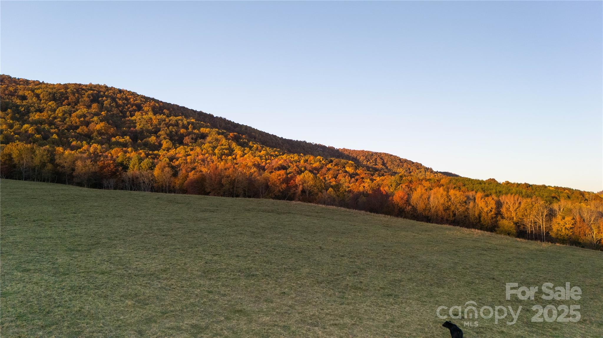 Tbd Ward Gap Road Casar, NC 28020 - Photo 22 of 36 a view of an outdoor space