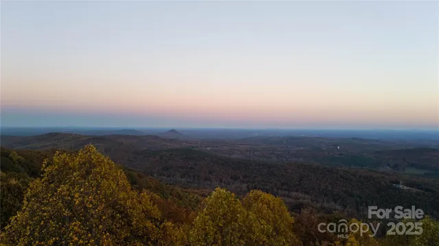 a view of a yard with plants and trees