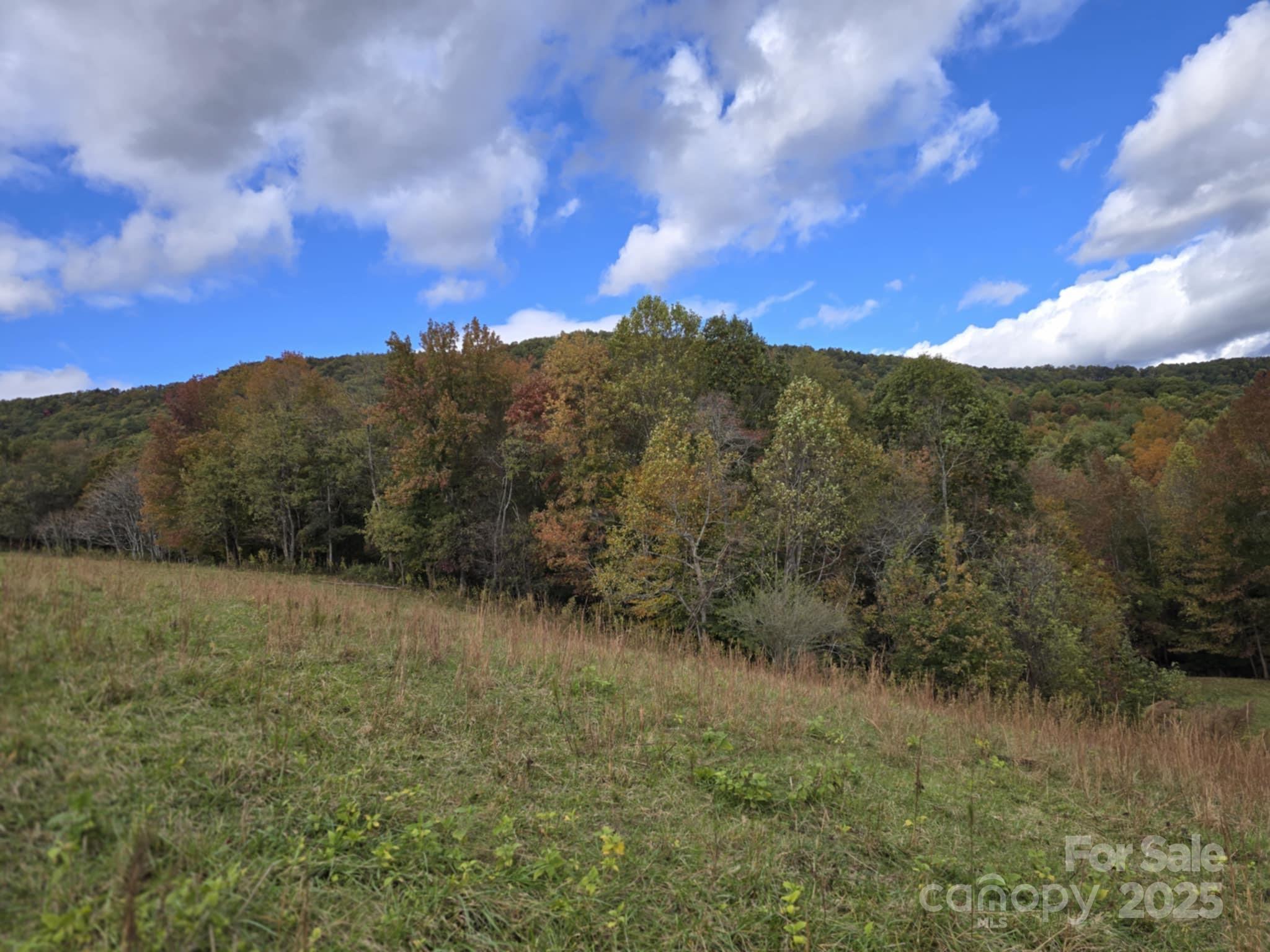 Tbd Ward Gap Road Casar, NC 28020 - Photo 29 of 36 a view of a field with mountains in the background