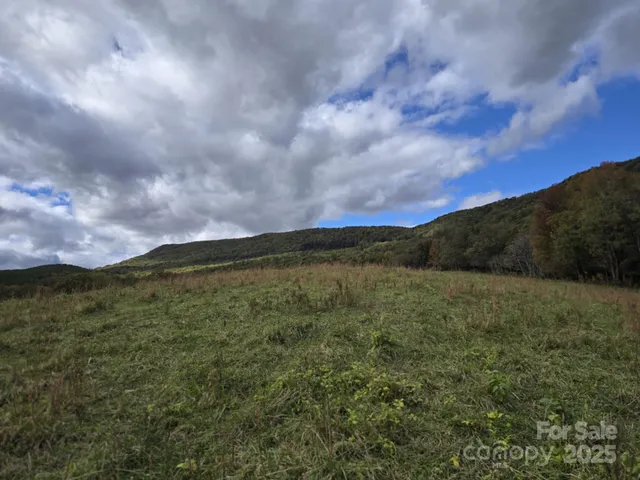 a view of a field with mountains in the background