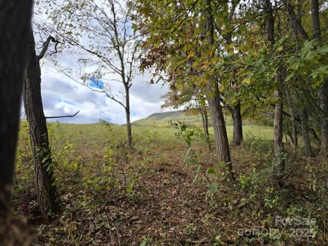 a view of a big yard with lots of green space