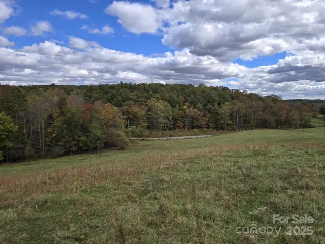 a view of an outdoor space and a yard