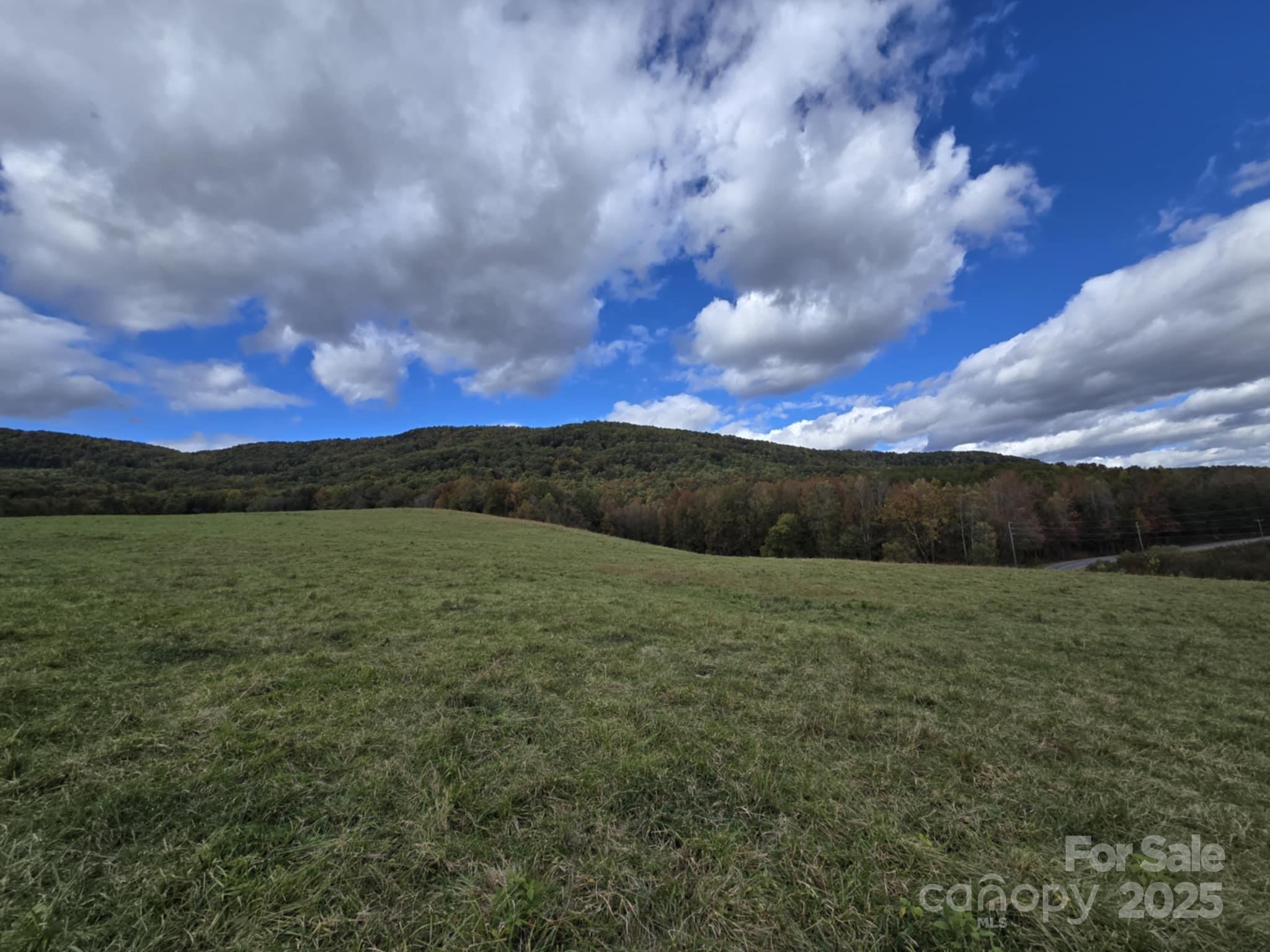 Tbd Ward Gap Road Casar, NC 28020 - Photo 34 of 36 a view of an outdoor space and a yard
