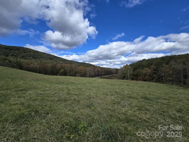 $1,800,000 | Tbd Ward Gap Road, Casar, NC 28020