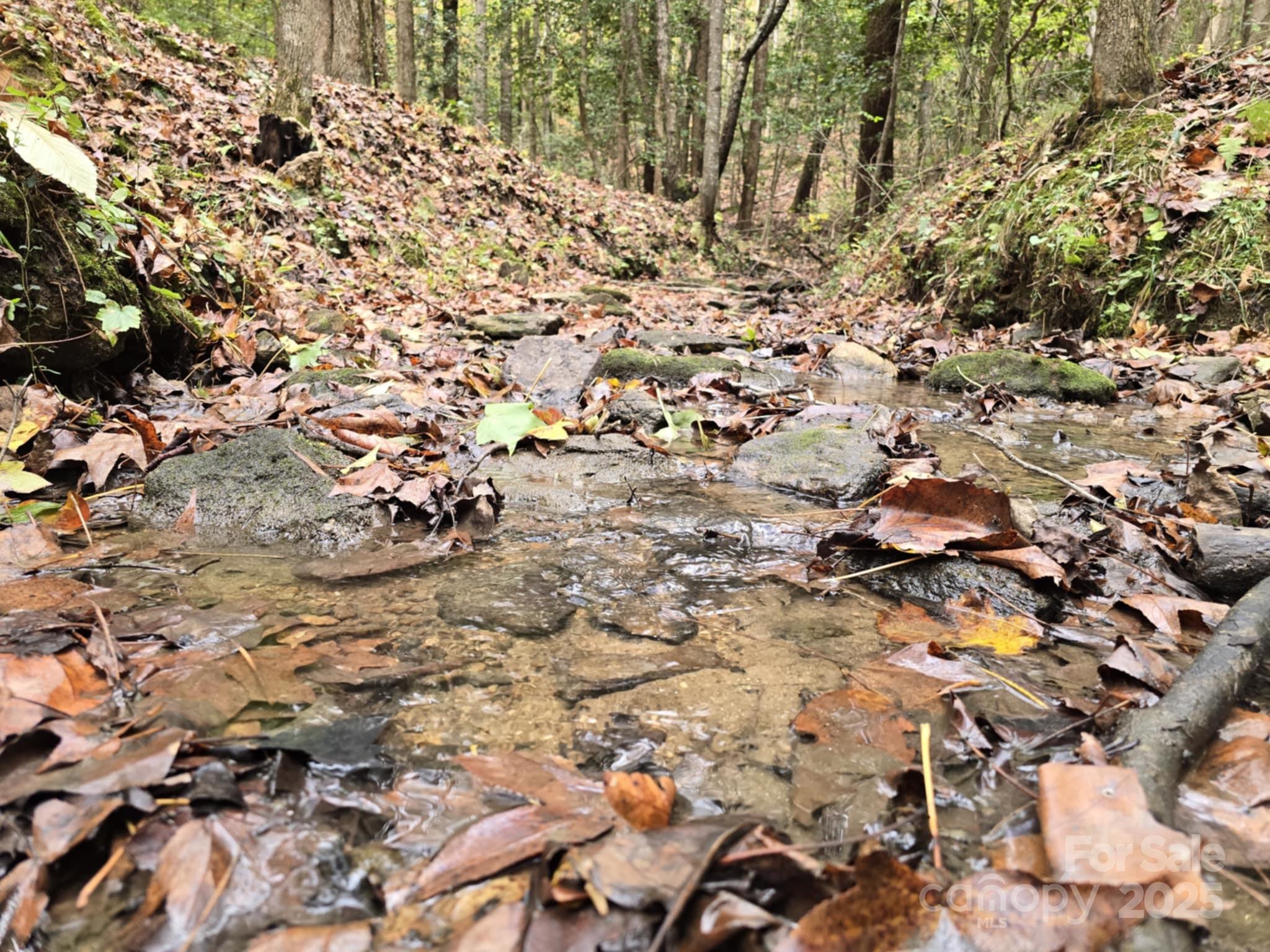 Tbd Ward Gap Road Casar, NC 28020 - Photo 4 of 36 a view of outdoor space