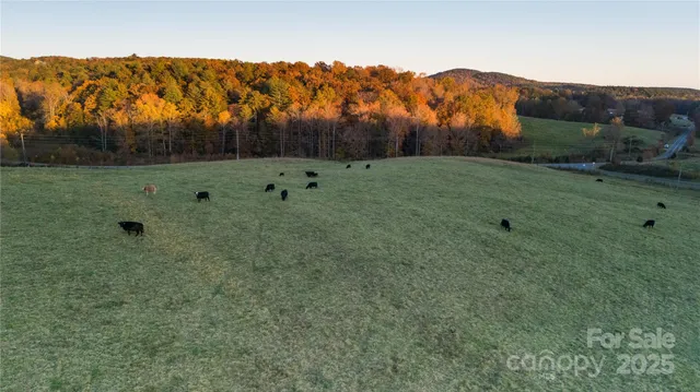 a view of a green field
