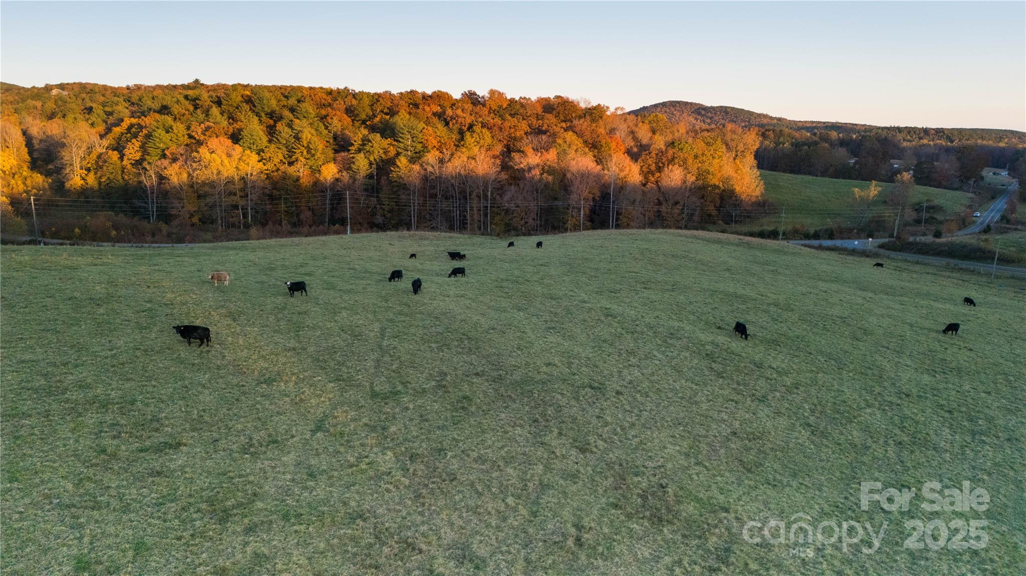Tbd Ward Gap Road Casar, NC 28020 - Photo 6 of 36 a view of a green field