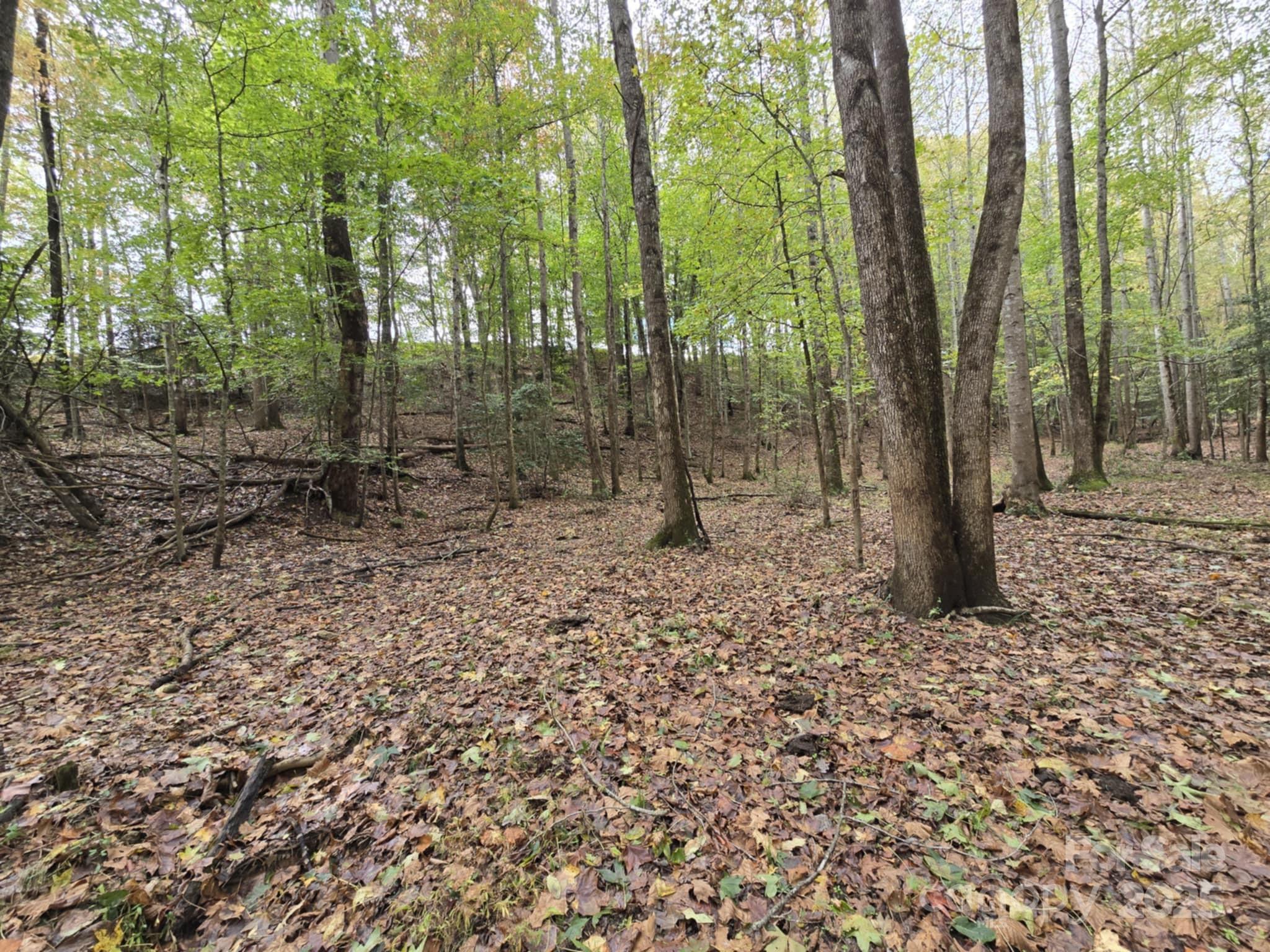 Tbd Ward Gap Road Casar, NC 28020 - Photo 7 of 36 a backyard of a house with lots of green space
