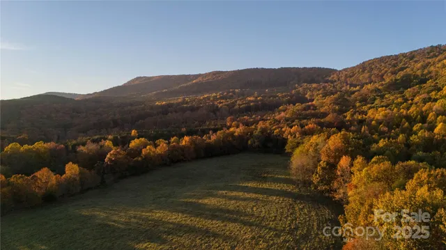a view of a mountain in the distance in a yard