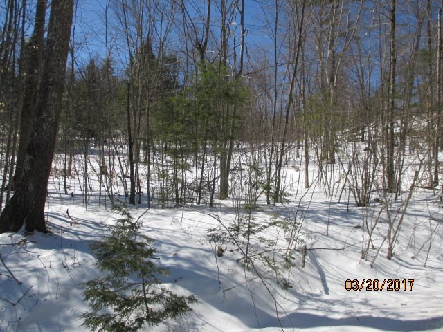 Rangeway Road, Unit D40102 Dunbarton, NH 03046 - Photo 2 of 7
