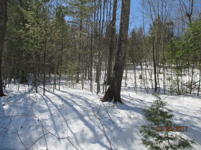Rangeway Road, Unit D40102 Dunbarton, NH 03046 - Photo 3 of 7
