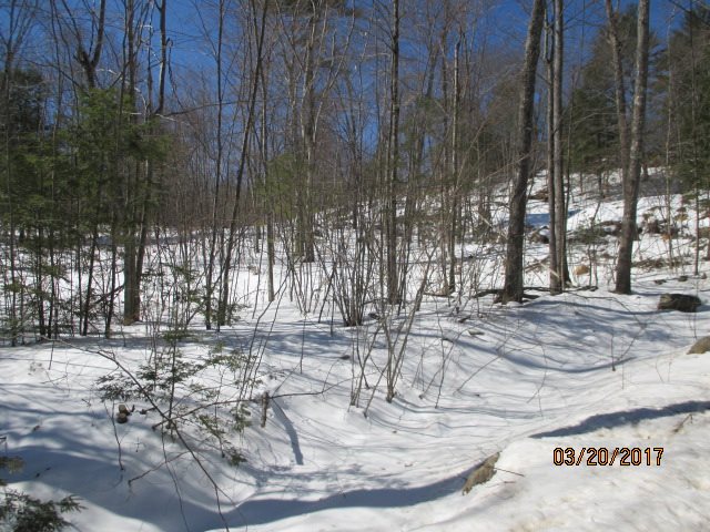 Rangeway Road, Unit D40102 Dunbarton, NH 03046 - Photo 4 of 7