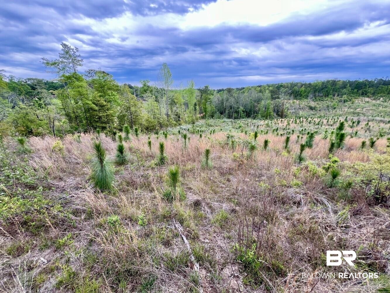0 Pine Street St. Stephens, AL 36569 - Photo 23 of 26