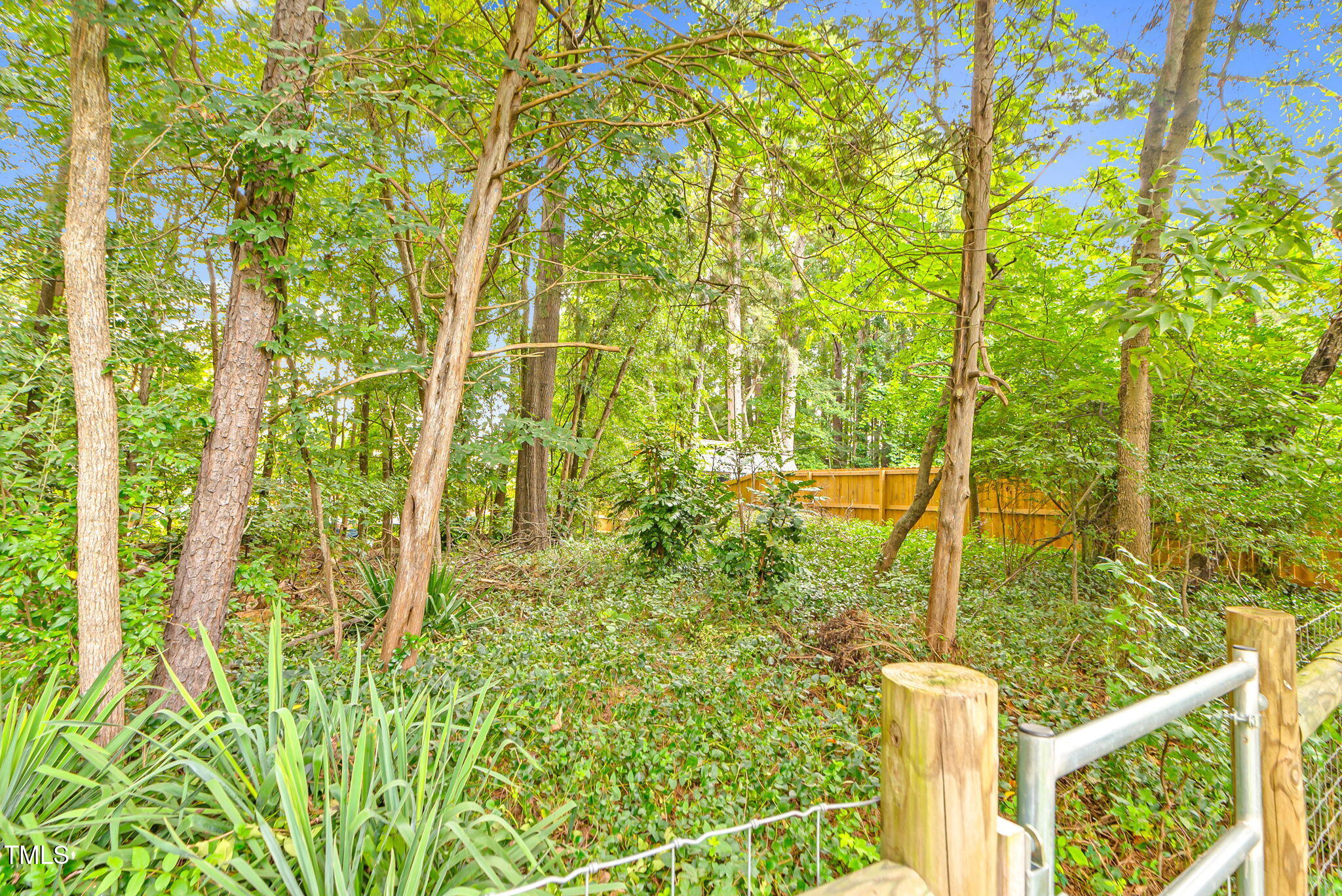 243 Toomer Loop Road Pittsboro, NC 27312 - Photo 10 of 42 a view of an outdoor space and trees