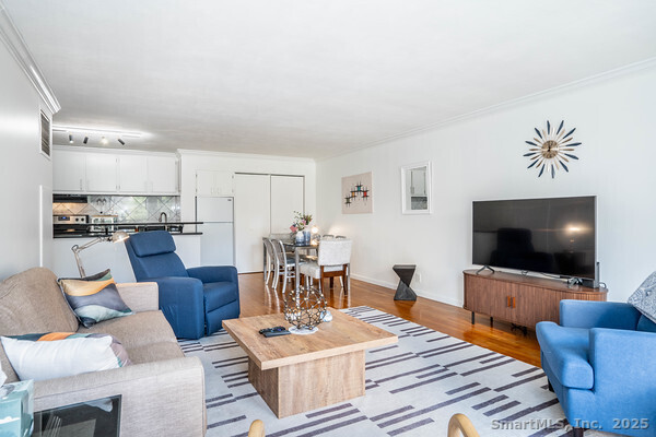 1 Gold Street, Unit 3D Hartford, CT 06103 - Photo 16 of 25 a living room with furniture and a flat screen tv