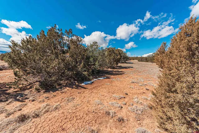 a view of a back yard of the house