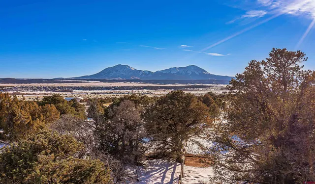 an aerial view of residential building and mountain view in back