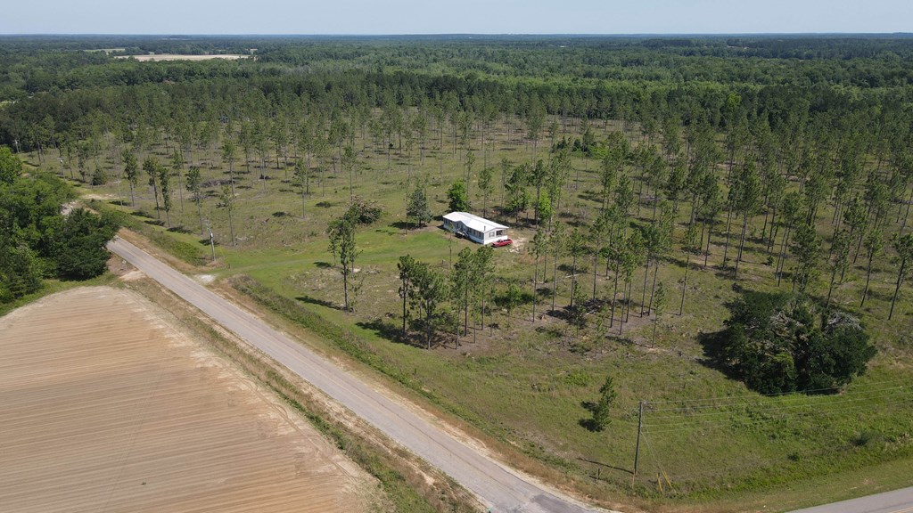0 State Line Road Cottonwood, AL 36320 - Photo 5 of 27