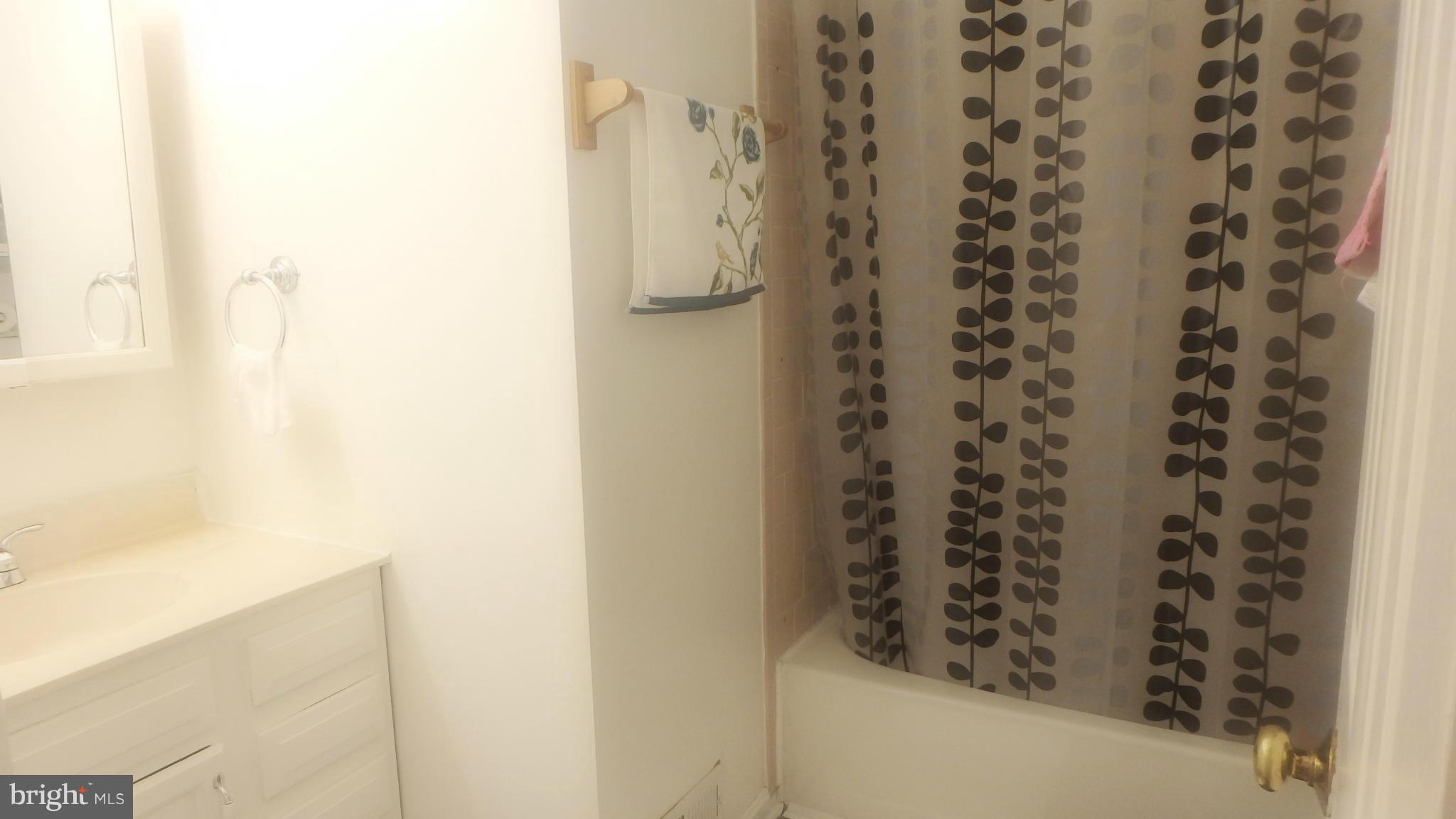 1101 Canyon Road Silver Spring, MD 20904 - Photo 10 of 20 Bath 2