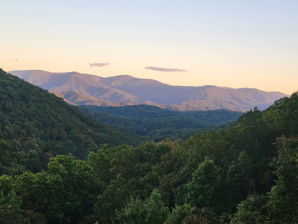 161 Cub Trail Cherry Log, GA 30522 - Photo 55 of 57 From Deck