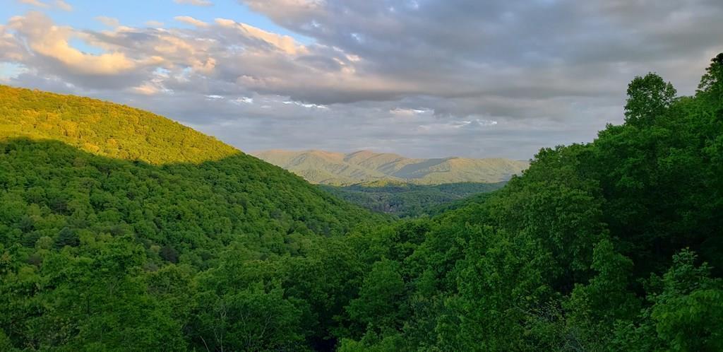 161 Cub Trail Cherry Log, GA 30522 - Photo 6 of 57 From Deck