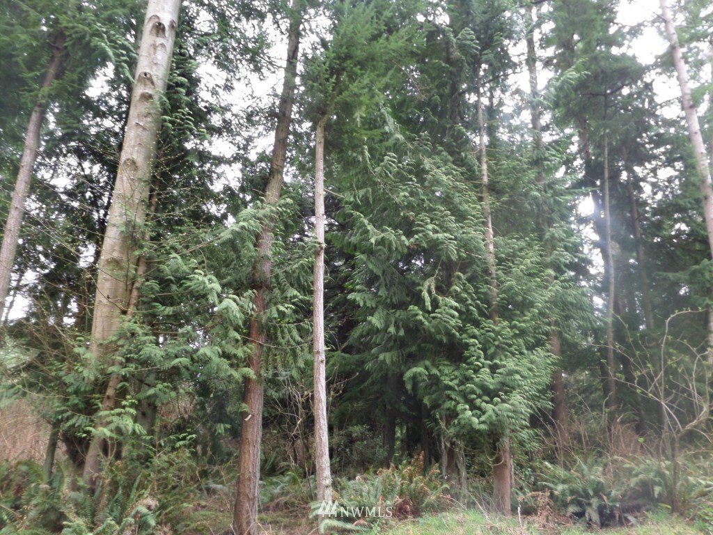 -xx Swede Hill Road Clinton, WA 98236 - Photo 1 of 7 Gallery Image 1