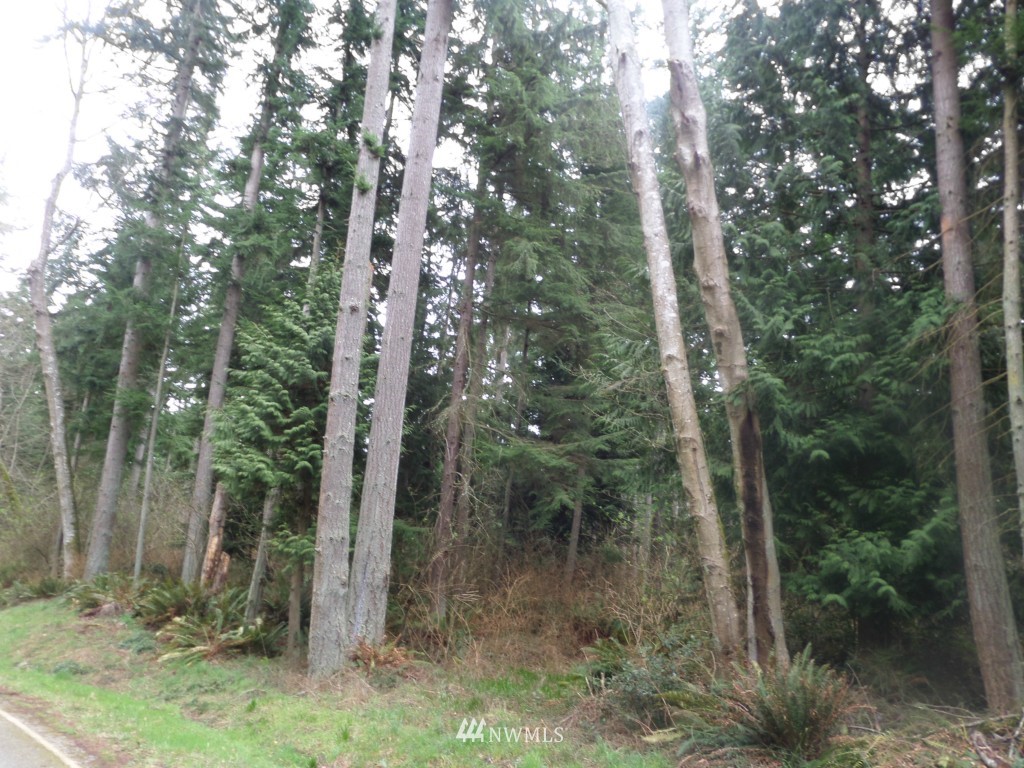 -xx Swede Hill Road Clinton, WA 98236 - Photo 3 of 7 Gallery Image 3