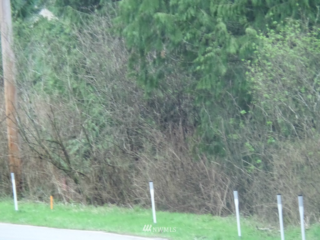 -xx Swede Hill Road Clinton, WA 98236 - Photo 4 of 7 Gallery Image 4