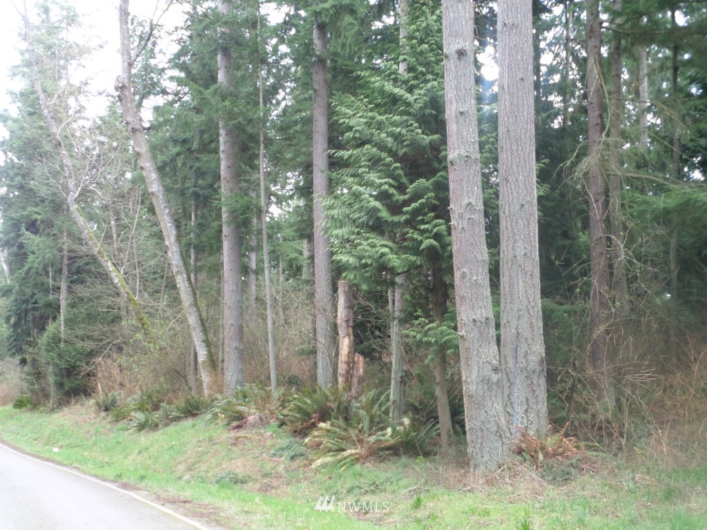 -xx Swede Hill Road Clinton, WA 98236 - Photo 5 of 7 Gallery Image 5