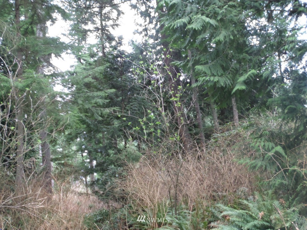 -xx Swede Hill Road Clinton, WA 98236 - Photo 6 of 7 Gallery Image 6