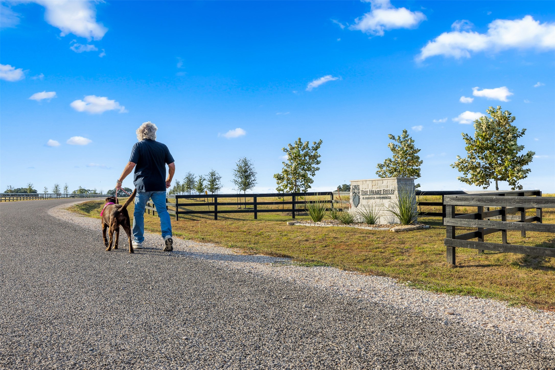 5019 Hartfield Road Round Top, TX 78954 - Photo 8 of 12