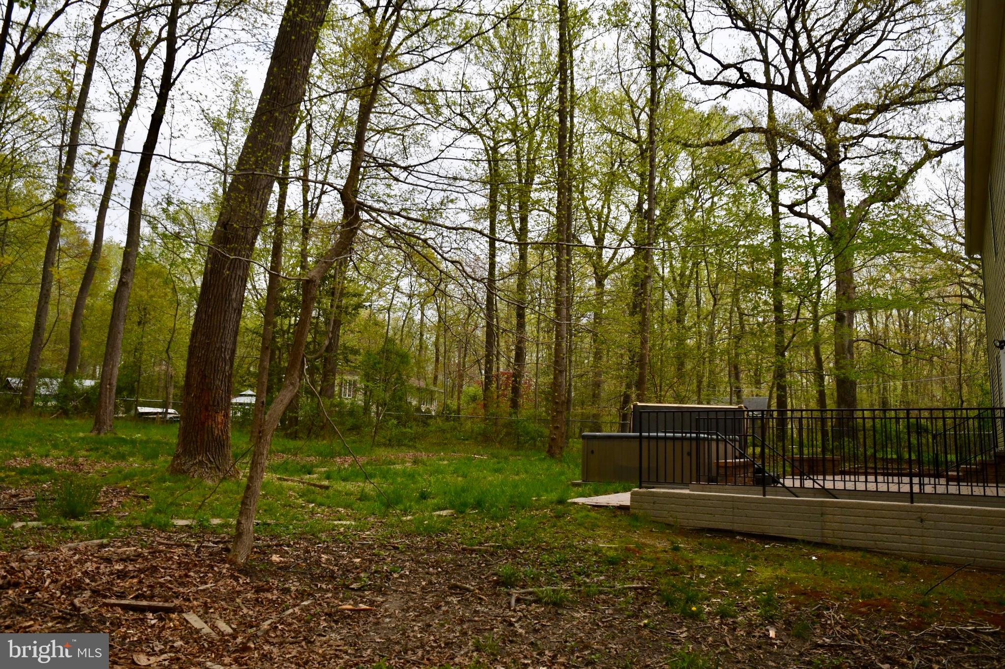 2138 Barrison Point Road Baltimore, MD 21221 - Photo 60 of 64 Backyard View