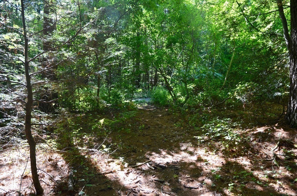 154 Lafayette Road Salisbury, MA 01952 - Photo 5 of 16 Gallery Image 5