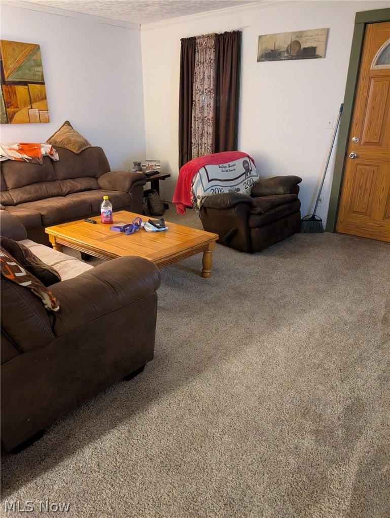 3 South 2nd Street Dennison, OH 44621 - Photo 4 of 16 Living room with carpet flooring