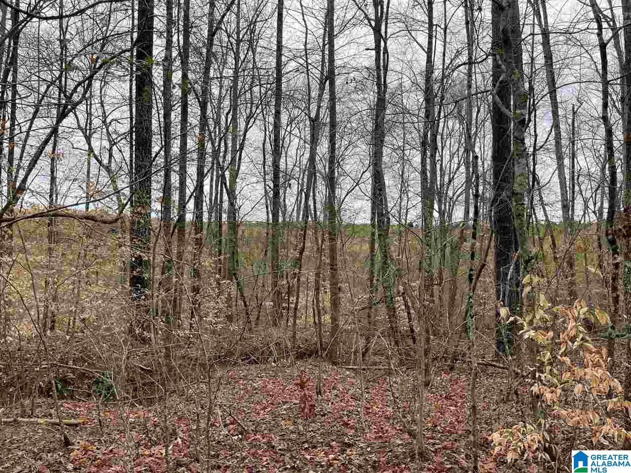 59 County Road, Unit 30 Heflin, AL 36264 - Photo 8 of 24