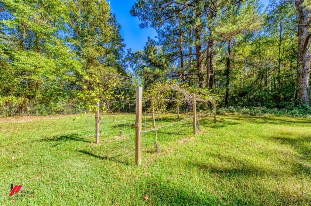 12507 Highway 159 Shongaloo, LA 71072 - Photo 29 of 35 a garden view