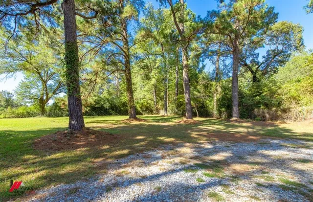 a view of a green field