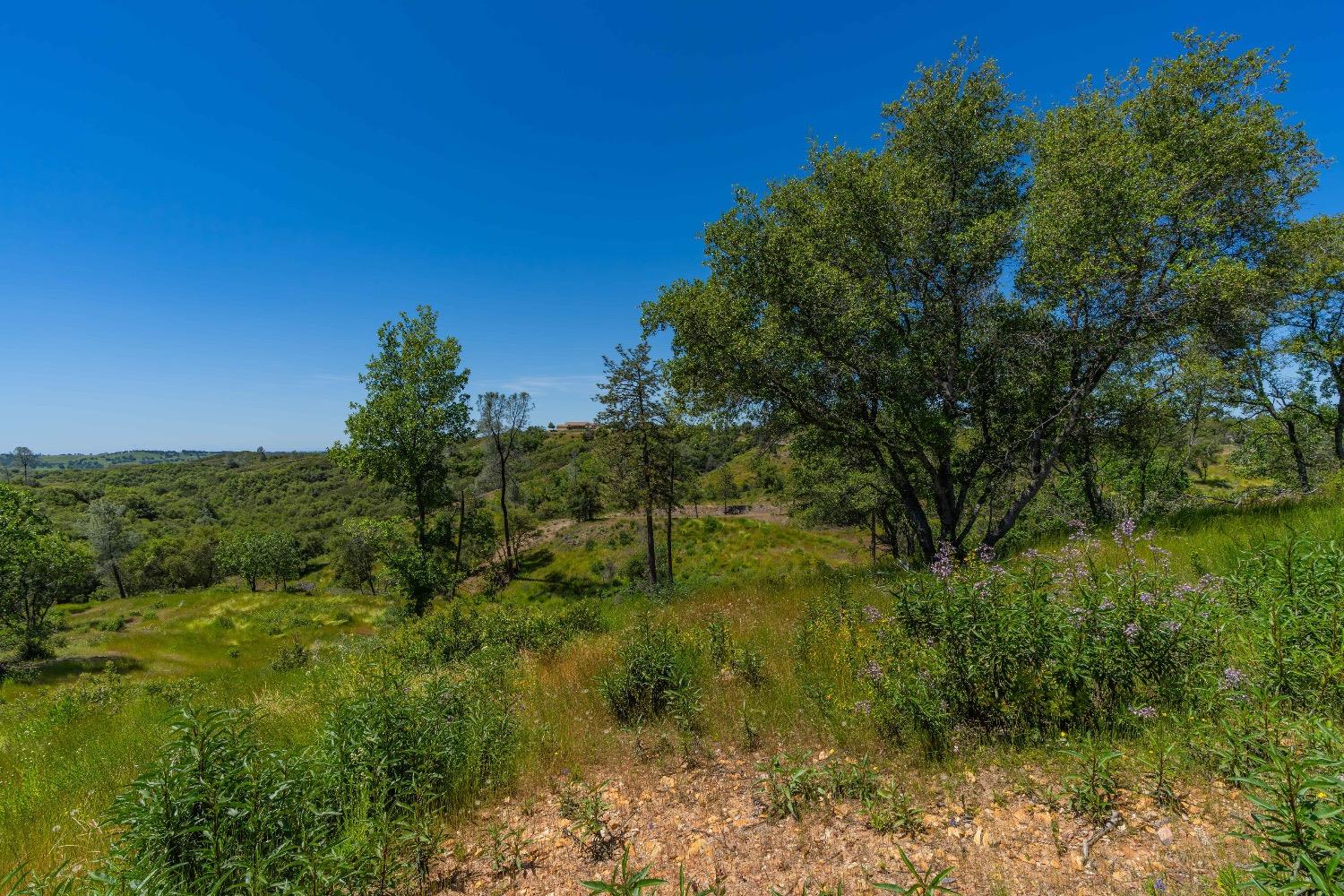 12377 Twin Pines Road Sutter Creek, CA 95685 - Photo 25 of 57 Gallery Image 25