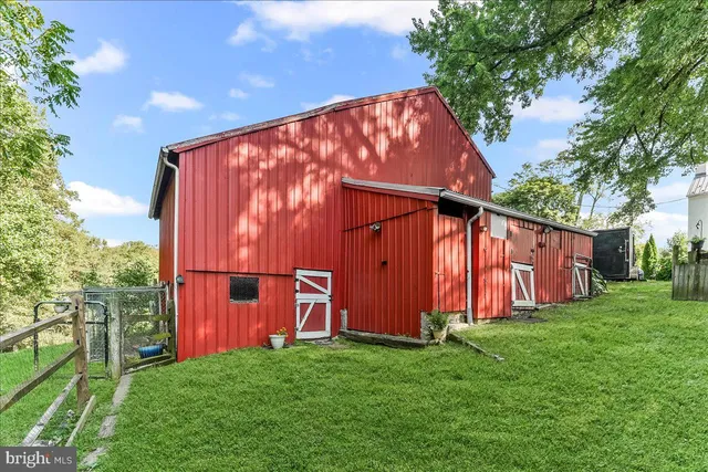 a view of a backyard with potted plants and large tree